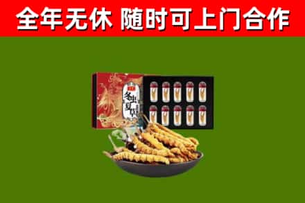蓝山县回收冬虫夏草价格