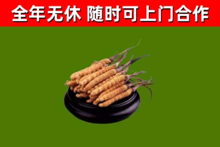 蓝山县烟酒回收冬虫夏草.jpg